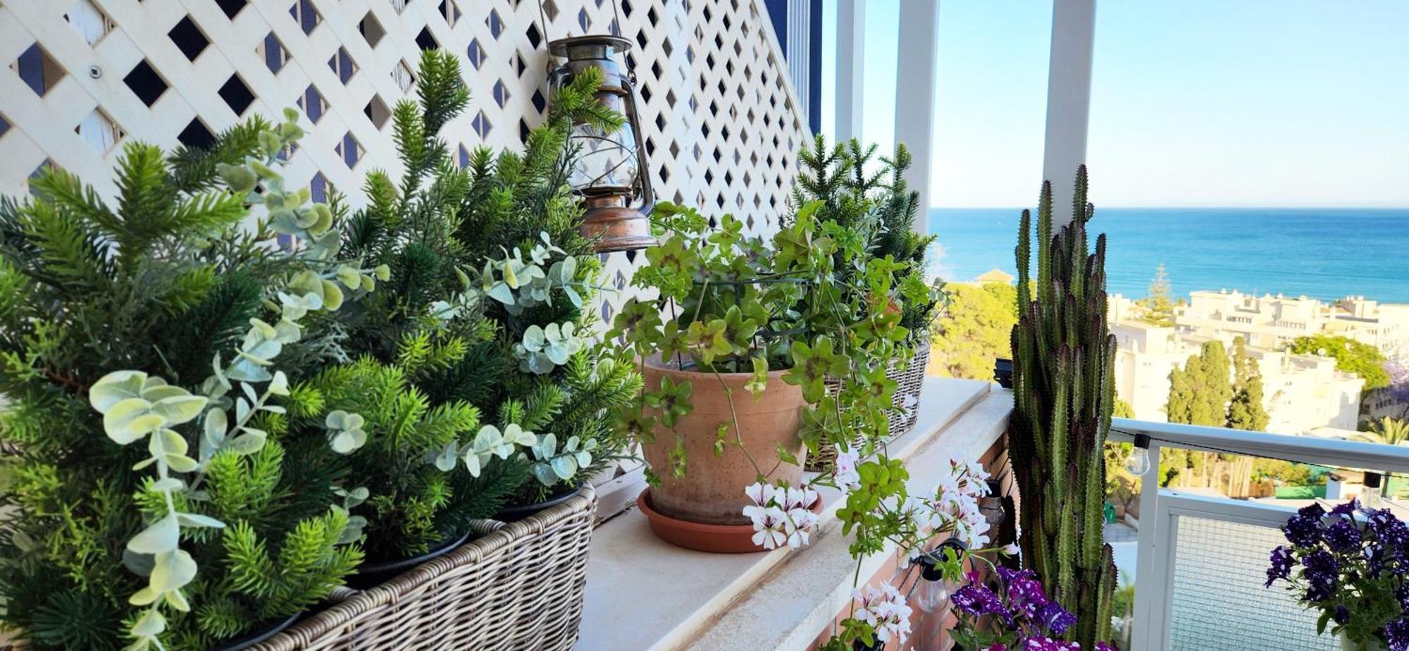 The Beach Oasis توريمولينوس المظهر الخارجي الصورة